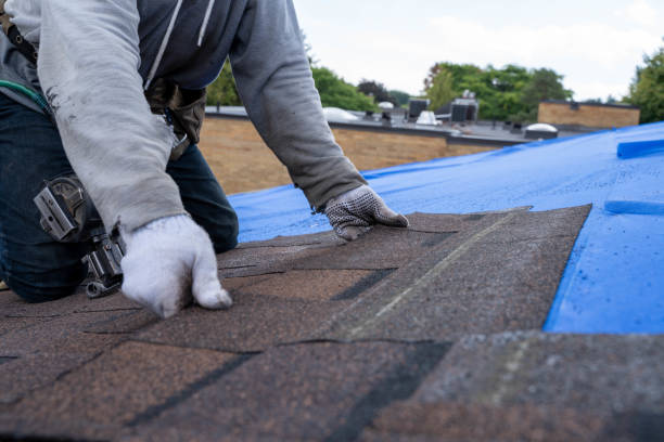 Best Shingle Roofing Installation  in New Carlisle, OH