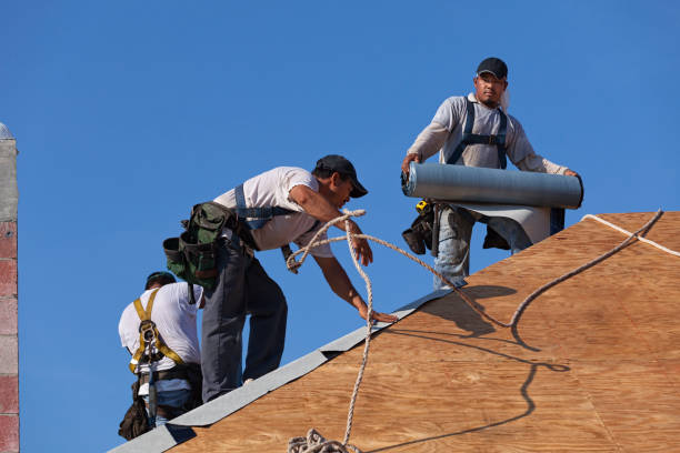 Best Storm Damage Roof Repair  in New Carlisle, OH