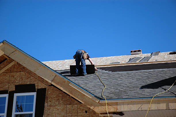Roof Gutter Cleaning in New Carlisle, OH